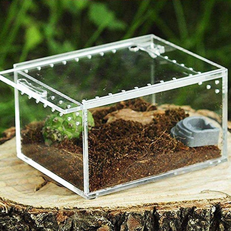 亚克力爬虫箱饲养盒蜘蛛蜥蜴爬宠盒变色龙守宫树蛙专用透明饲养箱