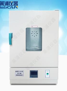 电热鼓风干燥箱电加热干燥箱实验室干燥立式恒温鼓风干燥箱