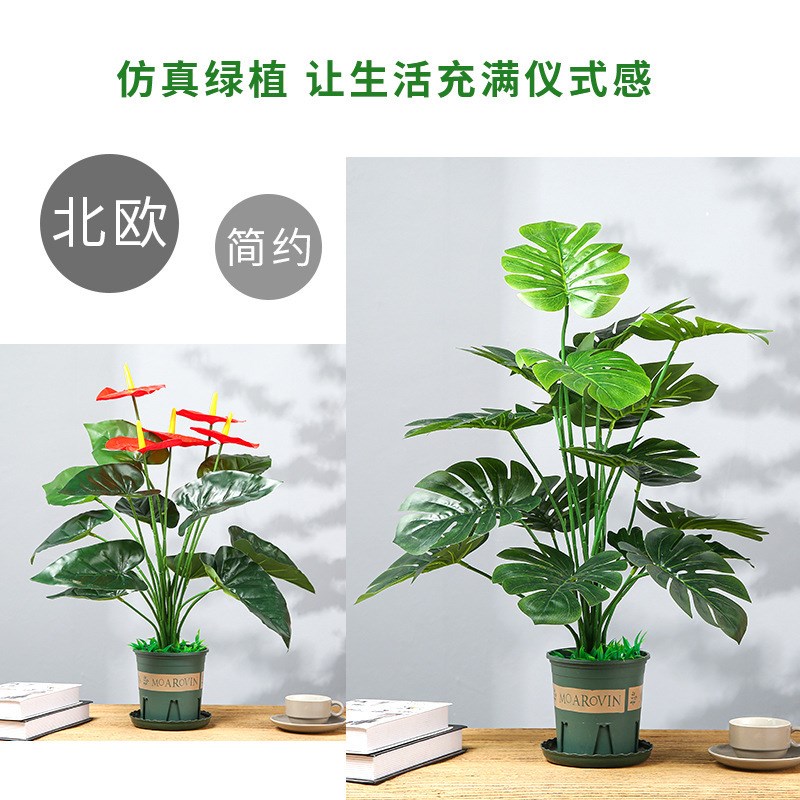 北欧风仿真绿植h小盆栽龟背叶红掌家居装饰客厅桌面假植物盆栽摆