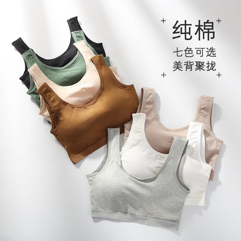纯棉宽肩抹胸带胸垫一体文胸无钢圈内衣加厚N聚拢上托裹胸文胸背