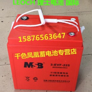 极速 MSB LEOCH理士 225 6V225AH EVF 观光车 平板 环卫车 3HR