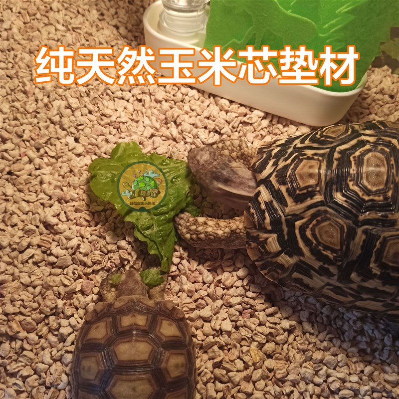 极速粟米沙玉米芯砂颗粒陆龟鬃狮箱垫材除臭味爬宠苏卡达垫材1kg