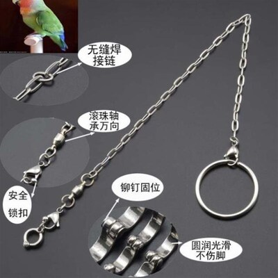 中大型鹦鹉脚链 折衷金刚葵花全不锈H钢超轻活扣脚环高级鸟脚链子