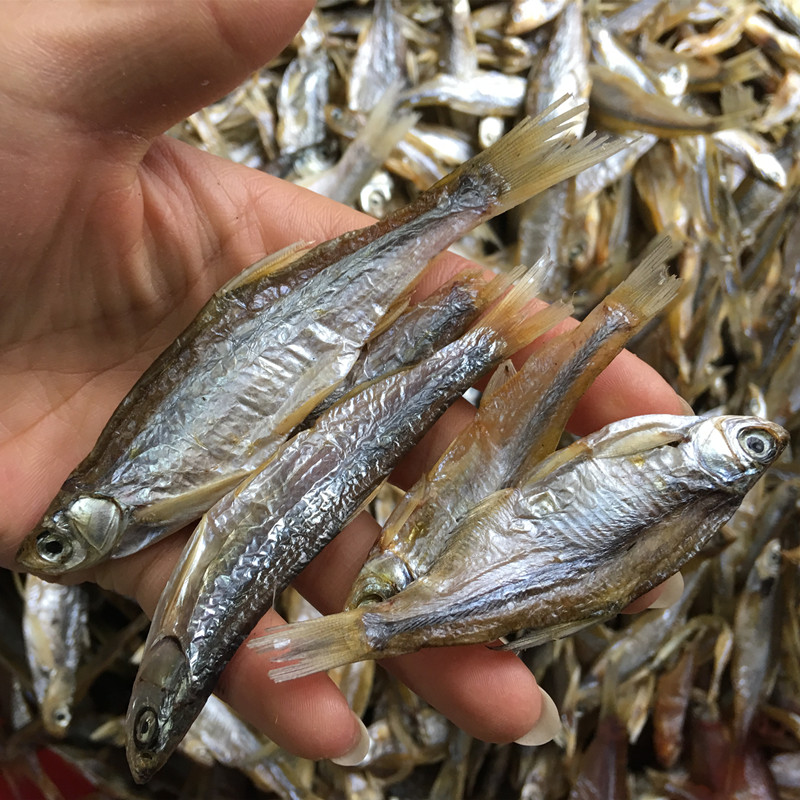 新品宠物猫食小鱼干无盐猫咪零食通用补钙乌龟饲料龟粮活体猫粮肉