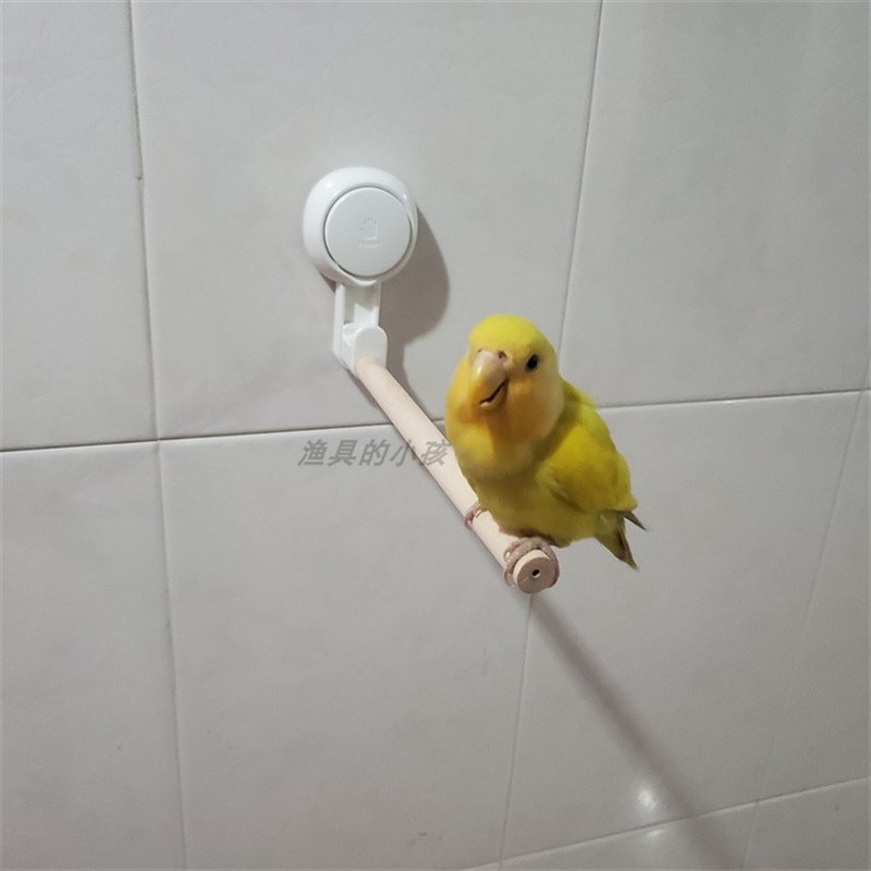 鹦鹉鸟吸盘站棍快拆杆站架虎皮牡丹玄凤小中大型洗澡可携式车载订