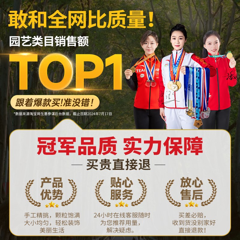 南京雨花石天然原石五彩玛瑙石鱼缸造景鹅卵石子盆栽多肉铺面石头