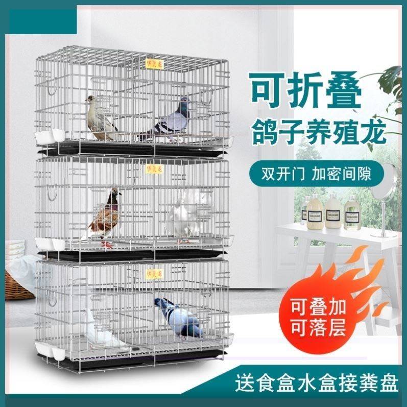 养鸽子专用笼鸟笼新款鸽子笼配对笼养殖笼子鸽笼家用摺叠大号特大