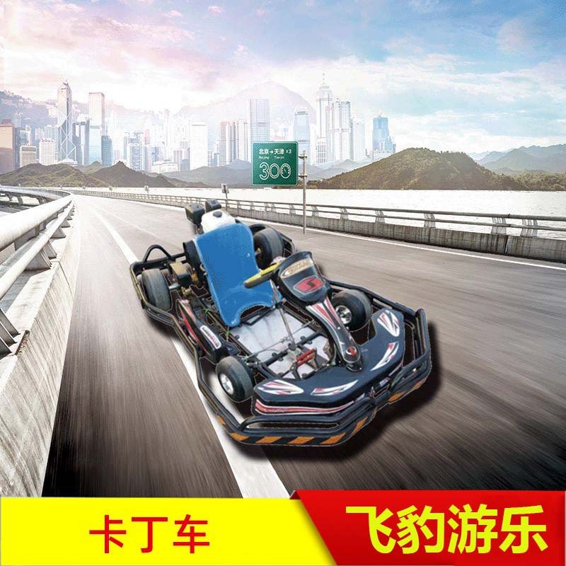 广场竞赛成人电动卡丁车室外游乐设备双人四轮越野儿童汽油卡丁车