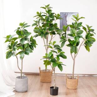 绿色橡胶树仿真植物盆栽室内盆栽植物假树居家落地装饰造景叶子