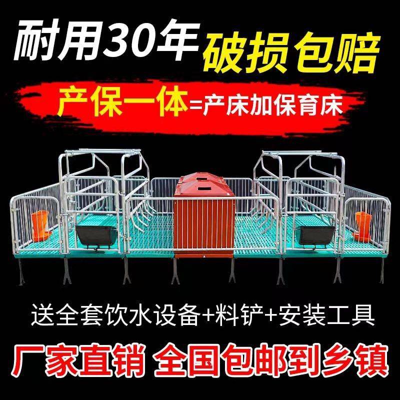 新型加厚母猪产床双体单体猪产床养殖设备分娩栏高培猪用产床