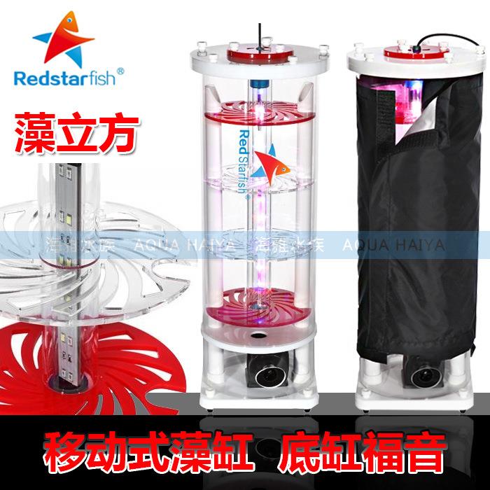 红海星藻桶藻立方藻缸海水珊瑚底缸表配养藻神奇ATS藻桶