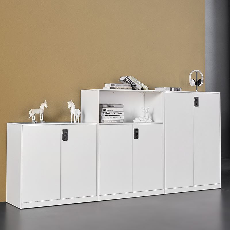 。万祝办公家俱文件档案柜钢制铁皮资料收纳柜矮柜带电子密码智能