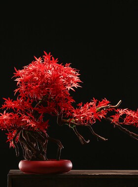 速发新中式禅枯意装迎客松盆景摆件客厅玄关办公室绿植桌面木饰品