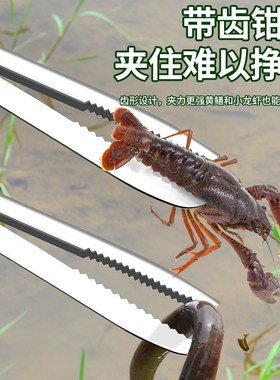 速发保联专业赶海装备黄蟹鳝黄鳝神器泥鳅螃夹抓鱼钳工具不锈钢垃