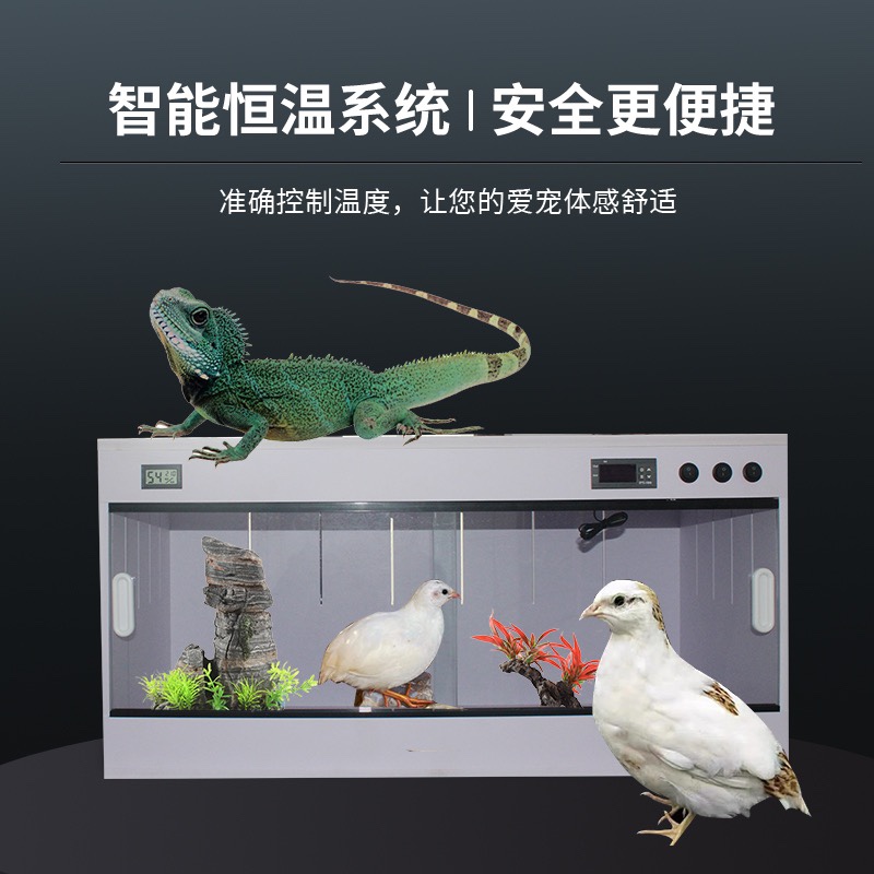 速发pvc爬箱爬宠饲养箱饲养缸乌龟蜥蜴蜘蛛陆龟恒温箱加温保温箱