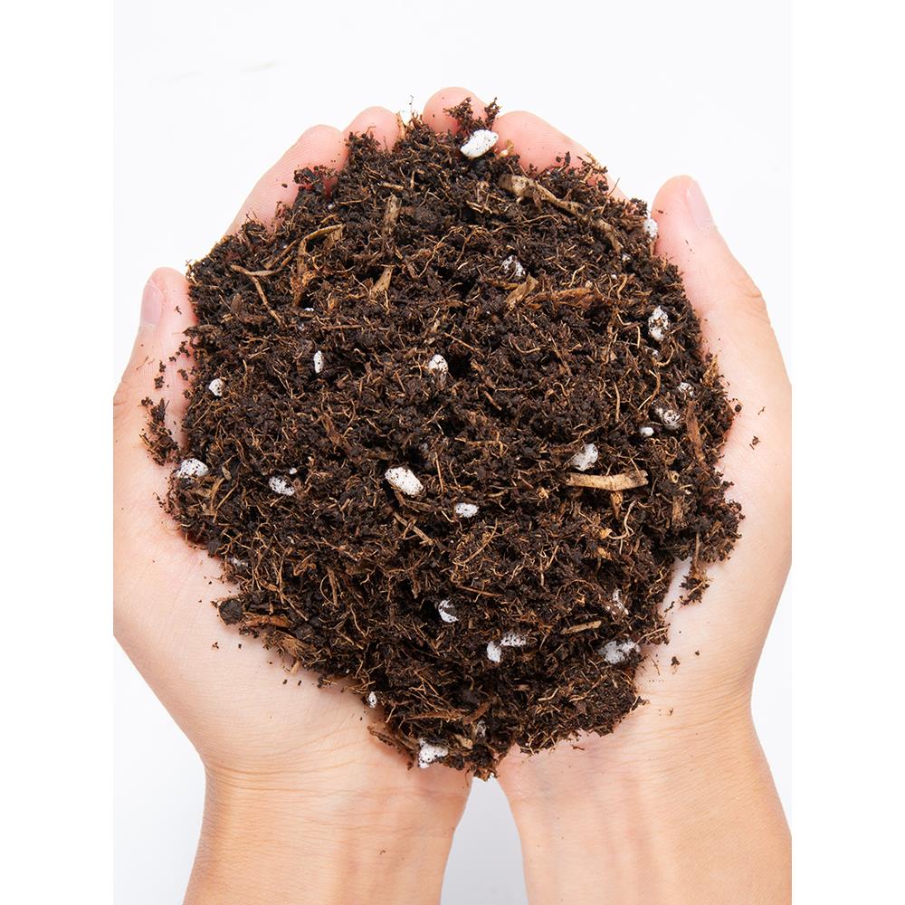 包邮50L升 优质版营养土腐殖土养花通用型花土月季土绣球泥土花泥