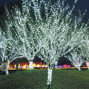 钱康黑线闪泡彩灯户外防水庭院led彩灯闪灯串灯亮化工程高品质