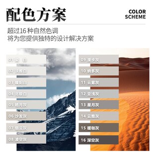 宅倍丽氢化净釉瓷哑光真瓷胶耐黄变防水抗菌瓷砖地砖光滑亚浅灰白