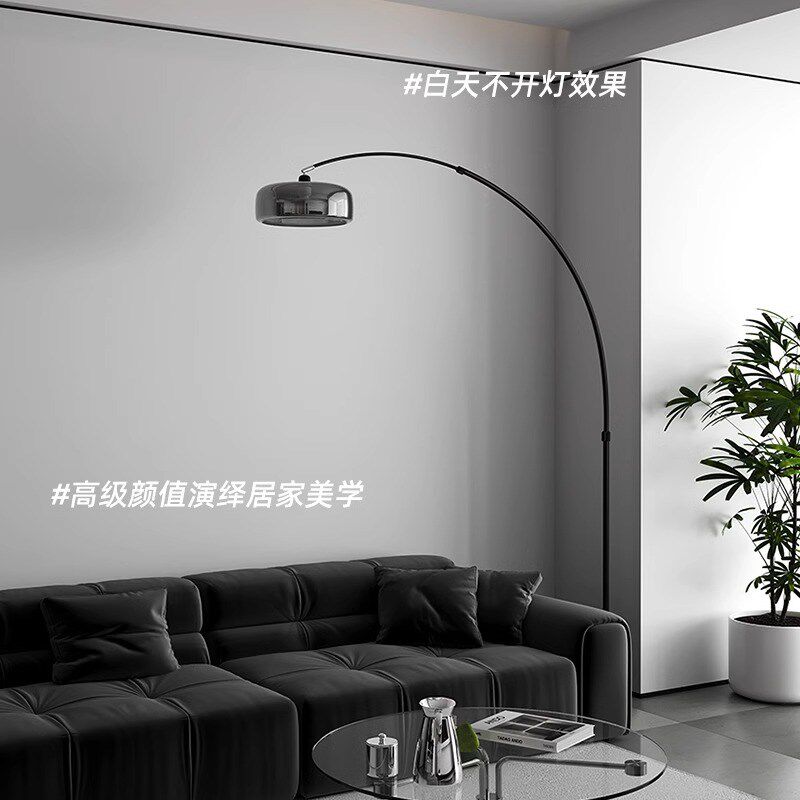 意式极简轻奢高级感落地灯客厅护眼氛围钓鱼灯卧室床头立式台灯具