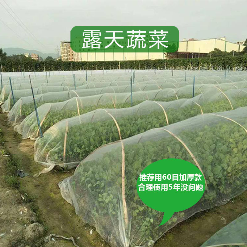 蔬菜大棚防虫网莲雾网罩果蝇青蛙围网脐橙木虱黄龙病猪场防蚊包邮