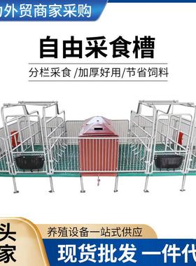 母猪产床母猪分娩产床2.2*3.6米热镀锌管养猪设备双体产床