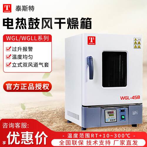 天津泰斯特WGL/WGLL系列实验室工业300度烘箱电热恒温鼓风干燥箱