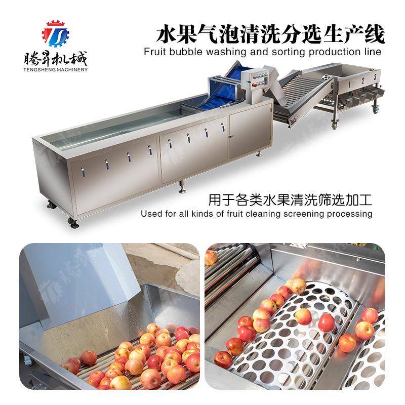 水果气泡清洗分选作业线气泡机清洗机洗菜机配送中心食堂用