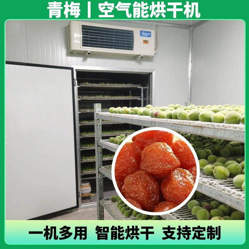 空气能酵素梅烘干机情人梅子烘干箱青梅果话梅烘干设备热风循环