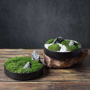 新中式仿真绿植永生苔藓摆件微景观绿植桌面假山造景软装饰品样板