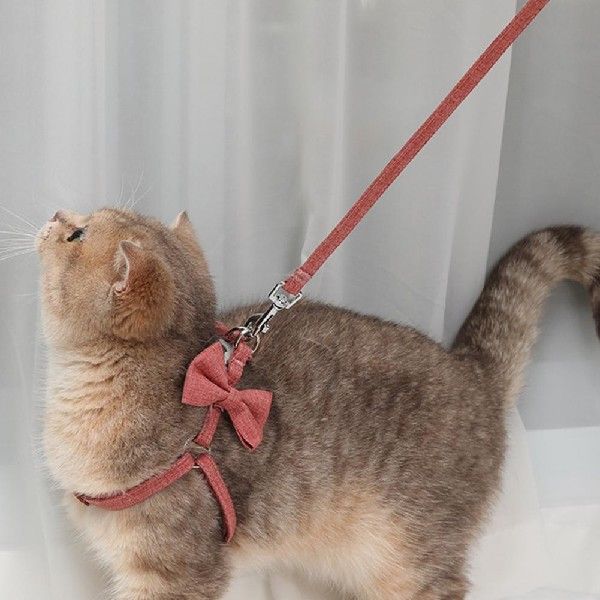 Wear Resistant Pets Supplies Bow Design Dog Harness Leash