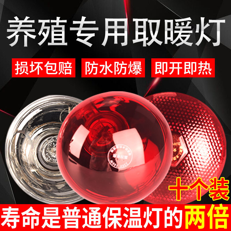 红外线保暖灯仔猪红外线灯泡取暖灯畜牧保温灯泡养殖场专用保暖灯