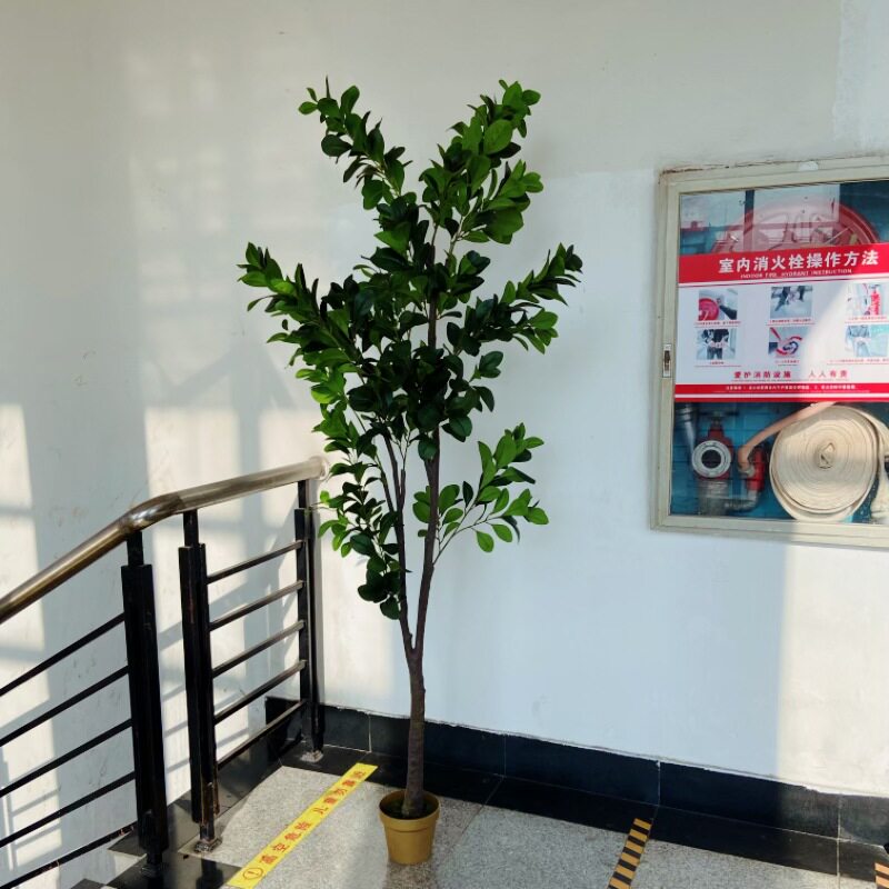 仿真广玉兰树荷花玉兰树洋玉兰树室内外商场广场酒店园林装饰造景