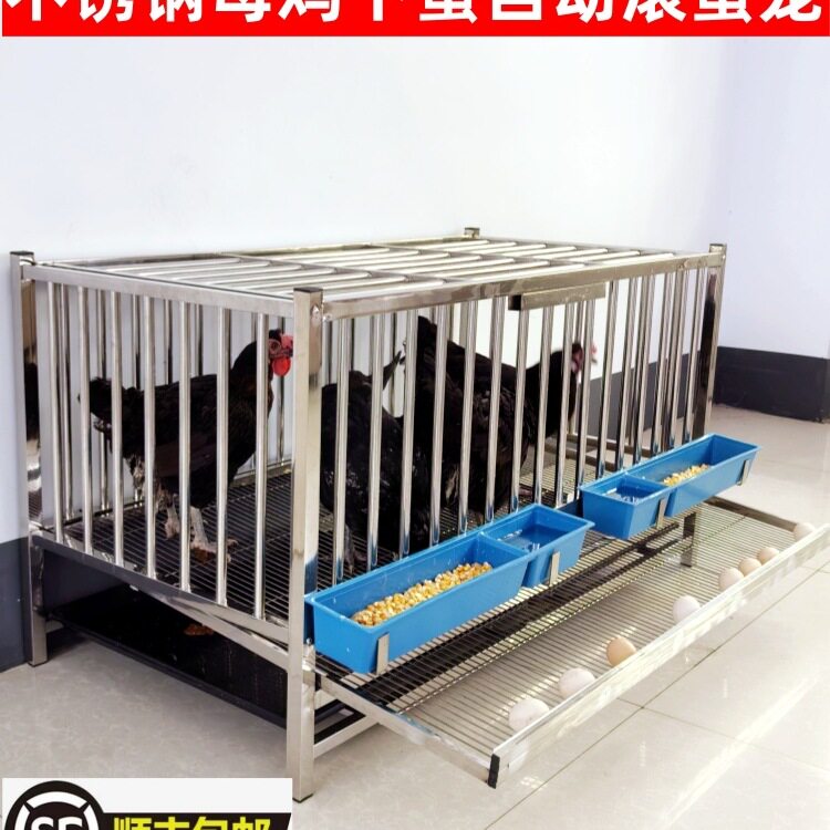 滚蛋鸡笼子家用大号带蛋托母鸡下蛋防鸡吃蛋防啄鸡蛋笼