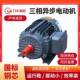 三相异步普通电机YE2 315S 110kw除尘设备电机纯铜线电机