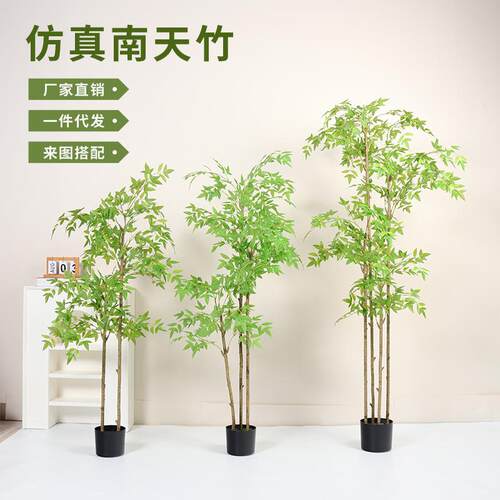仿真南天竹仿真绿植摆件家居室内客厅装饰摆设假竹子盆栽仿真植物