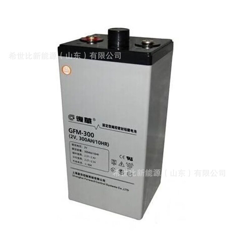 上海复华蓄电池GFM-300直流屏机房UPS/EPS电源配套2V300AH水电站