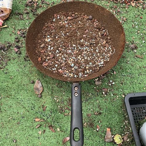 速发云南控养多肉植物专用混合八合一精品土透水透气铺面石通用颗
