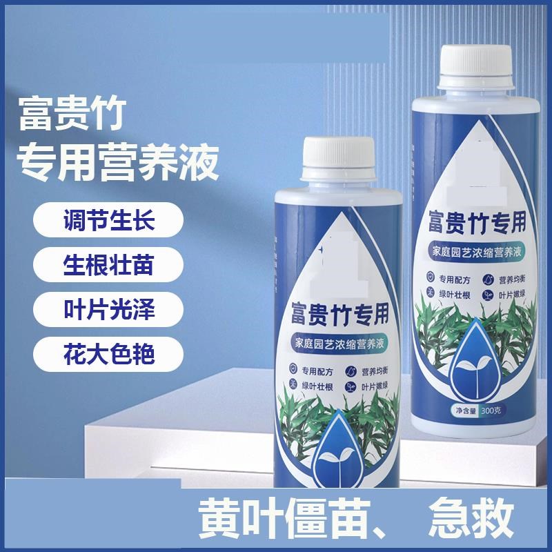 富贵竹专用营养液水培治黄叶促生根转运竹观音竹家用盆栽通用肥料