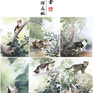 【无步骤】工笔画白描底稿邢诚爱猫咪一套六幅尺寸44*60厘米-08ZY