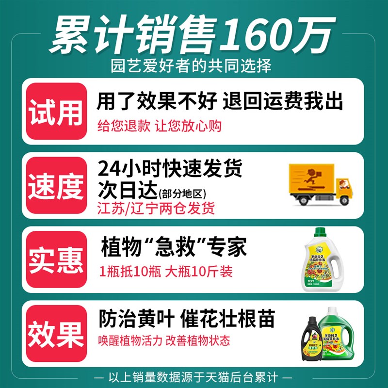 植物营养液通用型花肥料浓缩发财树富贵竹绿萝水培盆栽家用花卉