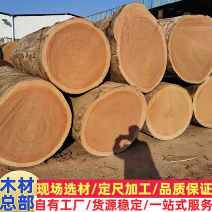 张家港木材 金花梨 原木板材 实木家具材料 番龙眼板材 唐木板材