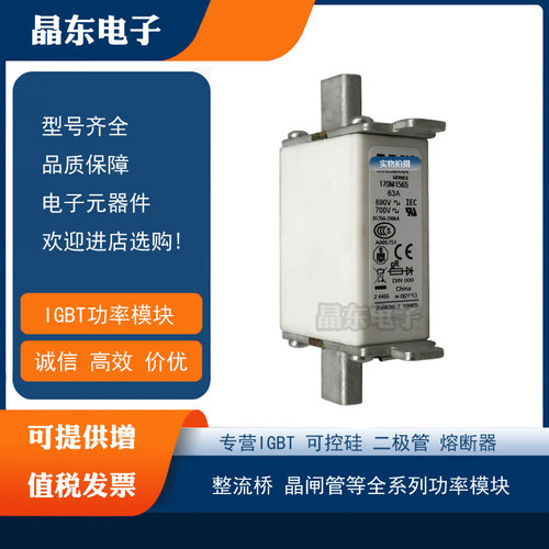 170M1558D 170M1559D 170M1560D 170M1561D 170M1562D全新熔断器