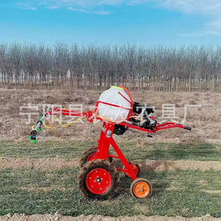 喷药机手推式菜园子玉米苗打药机170汽油手推打药机4米喷杆8个喷
