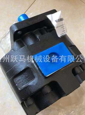 徐工压路机XS143J122123振动马达803004146M7600-F100NK767-6G1