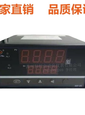 上润WP-D816-72-08-HL/WP-D816-01-08-HL多路巡检仪