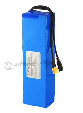 48V 10ah 48V battery Lithium Battery Pack 2000W electric bic