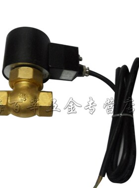 极速2L-500-50 丝扣先导式 活塞式 蒸汽 防爆电磁阀DN15-DN50 AC2