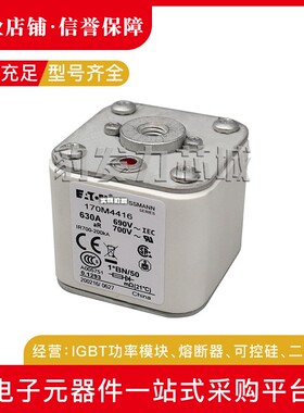 170M4835 170M6319 170M6369 170M3688 170M3738全新熔断器