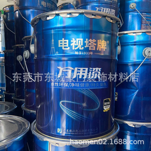 电视塔万用漆多功能水性磁漆金属漆翻新户外防锈漆环保钢结构漆