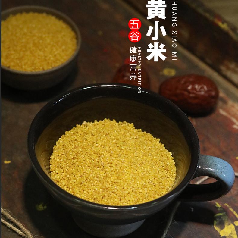 陜北米脂小米香糯飽滿五谷雜糧